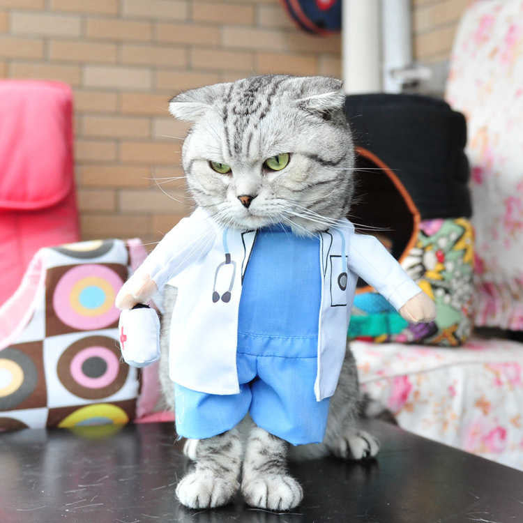 Playful Pet Costumes | Funny, Cute, and Entertaining Outfits for Cats & Dogs
