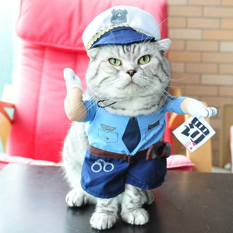 Playful Pet Costumes | Funny, Cute, and Entertaining Outfits for Cats & Dogs