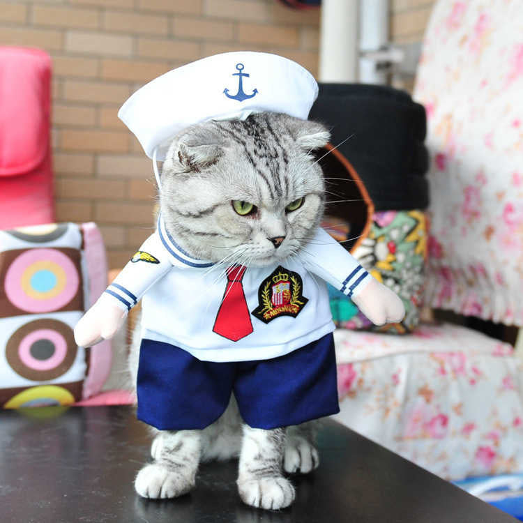 Playful Pet Costumes | Funny, Cute, and Entertaining Outfits for Cats & Dogs