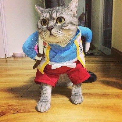 Playful Pet Costumes | Funny, Cute, and Entertaining Outfits for Cats & Dogs