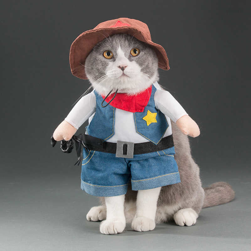 Playful Pet Costumes | Funny, Cute, and Entertaining Outfits for Cats & Dogs