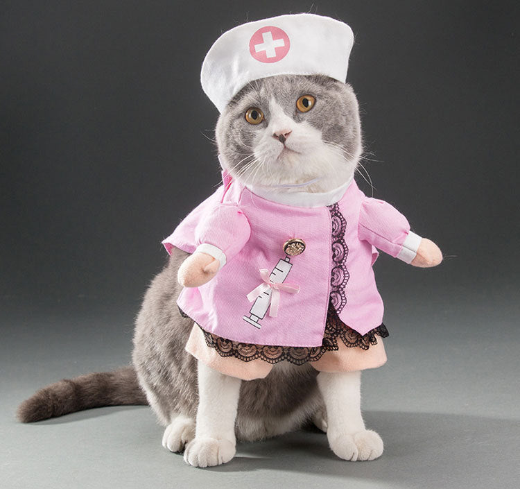 Playful Pet Costumes | Funny, Cute, and Entertaining Outfits for Cats & Dogs